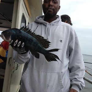 Meet your Posher, Edmund